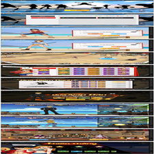 横板回合手游【海盗王3D】最新整理Linux手工服务端+GM后台+安卓苹果双端